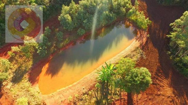 Chácara à venda, 23000 m² por R$ 180.000 - Palmerinha - Campina Grande do Sul/PR - Foto 13