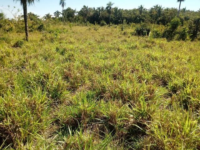 Chácara em Acorizal 38,2 hectares - Foto 8