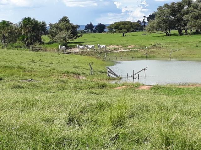 Fazenda Terra de cultura em Arenapolis - Foto 8