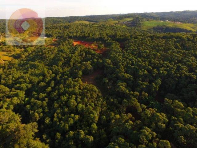 Chácara à venda, 23000 m² por R$ 180.000 - Palmerinha - Campina Grande do Sul/PR - Foto 11