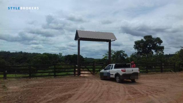 Chácara na região do manso com 2 dormitórios à venda, 680000 m² por R$ 600.000 - Zona Rura - Foto 4