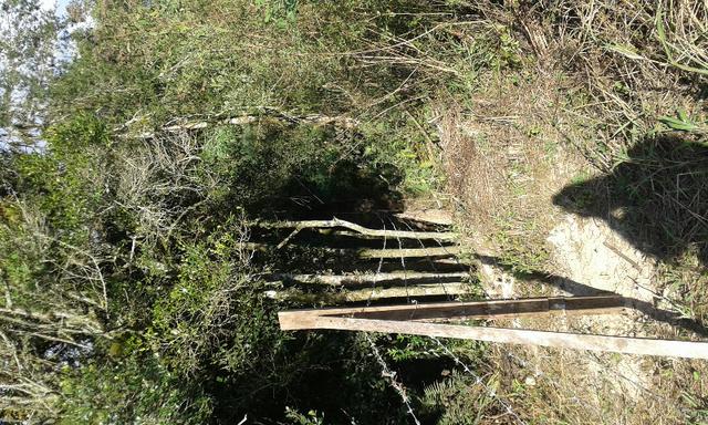 Uma chacra - Foto 2
