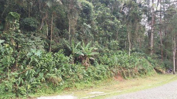 Terreno à venda, 2331 m² - Comary - Teresópolis/RJ - Foto 4