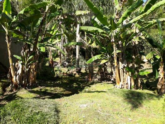 Terreno residencial à venda, Parque do Imbui, Teresópolis. - Foto 4