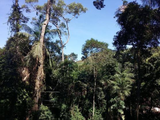 Terreno residencial à venda, Vargem Grande, Teresópolis. - Foto 8