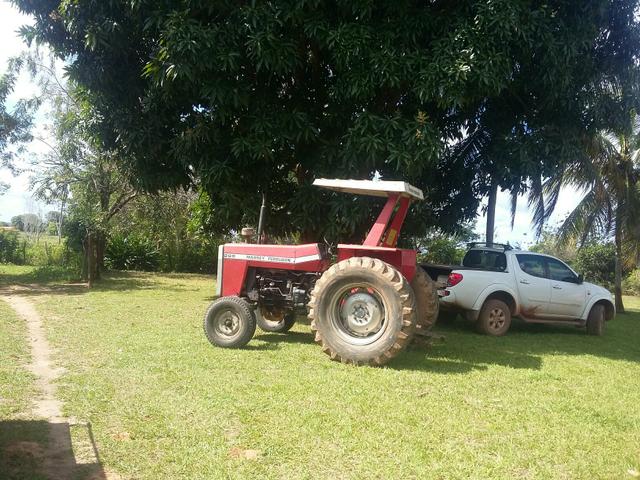 Trator MF 265 - Foto 2
