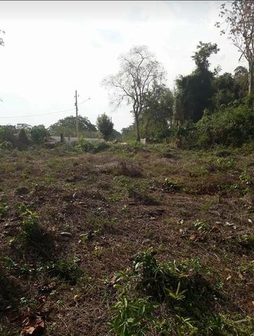 Terreno Beira de Rio Cuiabá - Foto 3