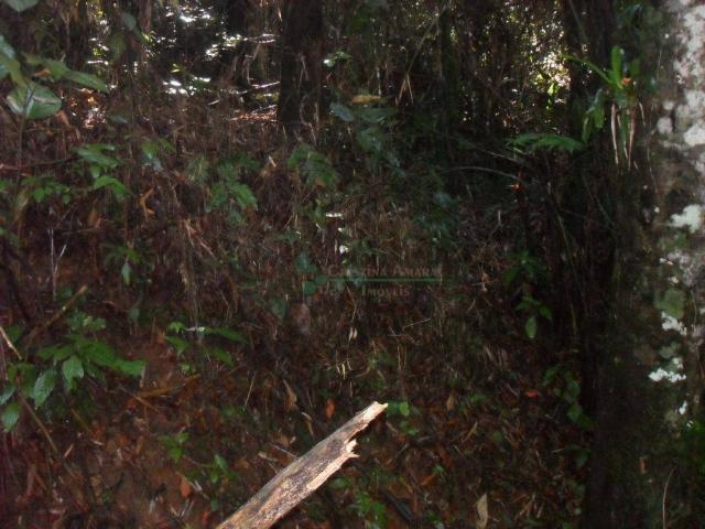Terreno residencial à venda, Vargem Grande, Teresópolis. - Foto 15