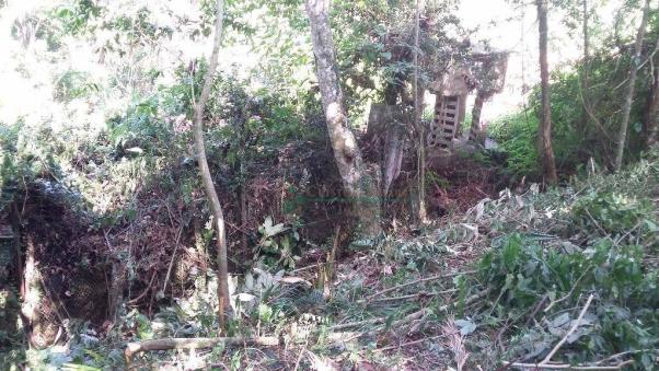 Terreno residencial à venda, Três Córregos, Teresópolis. - Foto 16