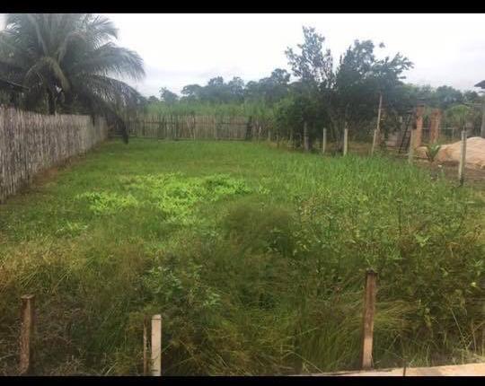 Terreno ( município de Plácido de Castro) - Foto 2
