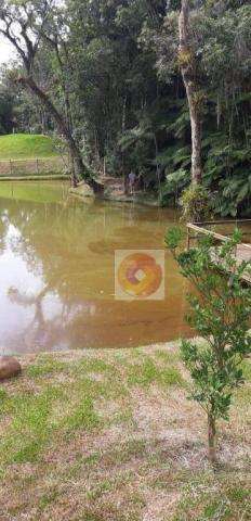 Chácara à venda, 10000 m² por R$ 650.000 - Zona Rural - Fazenda Rio Grande/PR - Foto 12