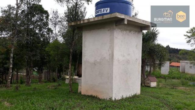 Chácara à venda, proximo a Igreja do Rosário em Colombo - PR - Foto 5