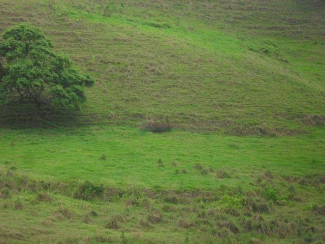 Área Venda Nova - Foto 5