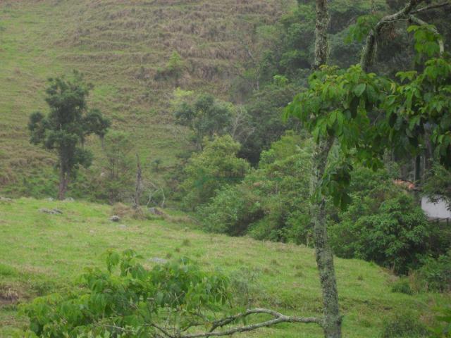 Área Venda Nova - Foto 8