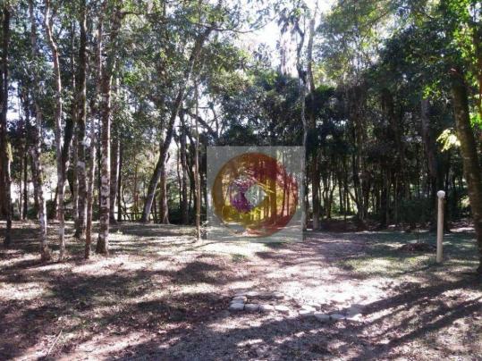 Chácara à venda, 10000 m² por R$ 650.000 - Zona Rural - Fazenda Rio Grande/PR - Foto 10