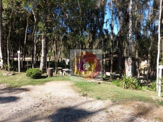 Chácara à venda, 10000 m² por R$ 650.000 - Zona Rural - Fazenda Rio Grande/PR - Foto 11