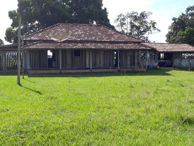 Fazenda Terra de cultura em Arenapolis - Foto 17