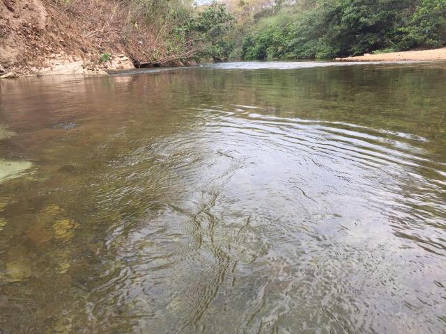 Chácaras residenciais com acesso ao rio coxipo do ouro - Foto 2