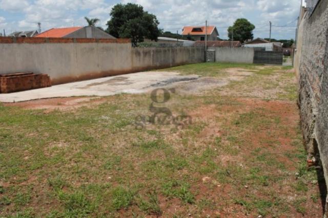 Terreno para alugar em Pinheirinho, Curitiba cod:21557001 - Foto 5