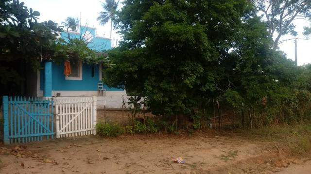 Ótima propriedade de 2 hectares, em Chã de Alegria-PE. R$ 140 mil