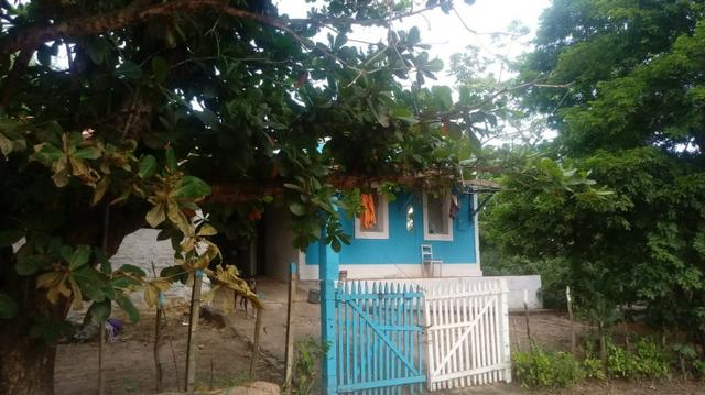 Ótima propriedade de 2 hectares, em Chã de Alegria-PE. R$ 140 mil - Foto 2