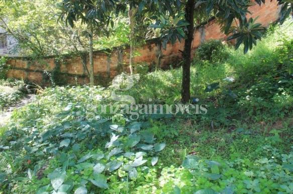 Terreno à venda em Cachoeira, Almirante tamandaré cod:258 - Foto 11