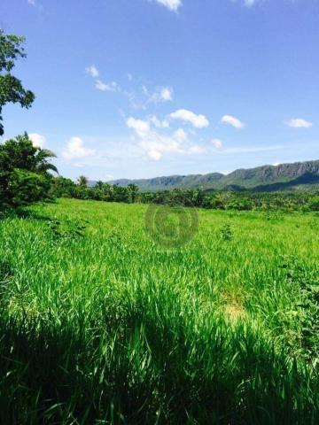 Fazenda 457 ha em rosário oeste mt - Foto 4