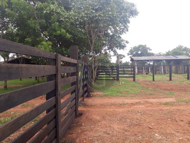 Fazenda 104 ha poconé mt - Foto 11