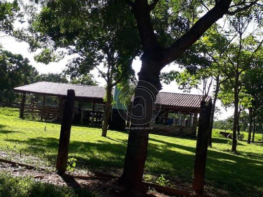 Fazenda 104 ha poconé mt - Foto 6