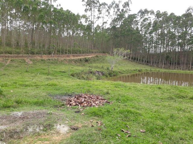 Linda área com 10 hectares a venda em Tijucas SC!!! - Foto 9