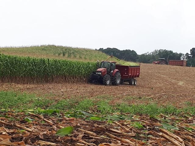 Carreta agrícola brasimp 8 toneladas - Foto 3
