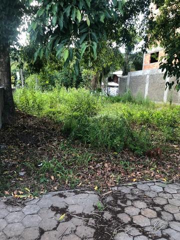 Terreno em zimbros - Foto 2