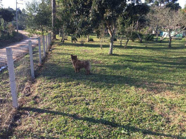 Chacara troco p terreno ou imóvel em Curitiba ou litoral praias - Foto 9