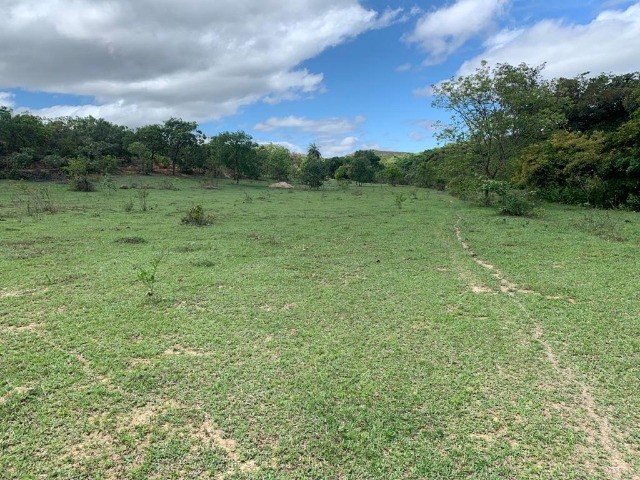Chácaras de 20.000m² com nascente, Jaboticatubas(Temos varias opções).