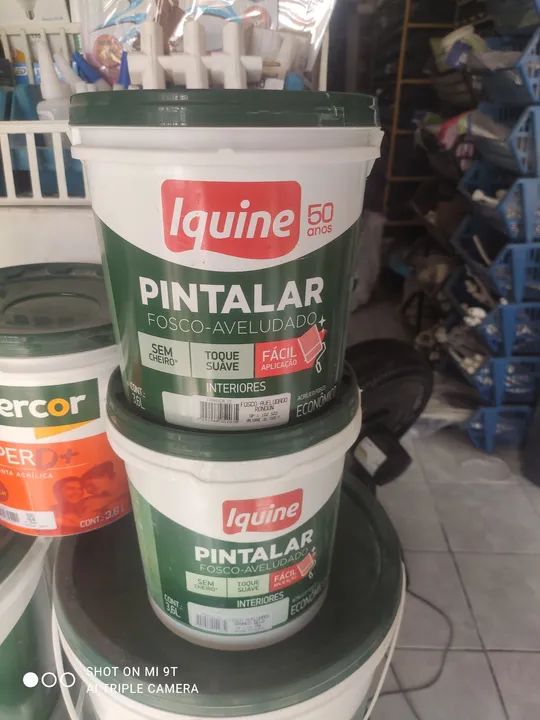 Galões pintalar -gelo, neve, cinza- Iquine 