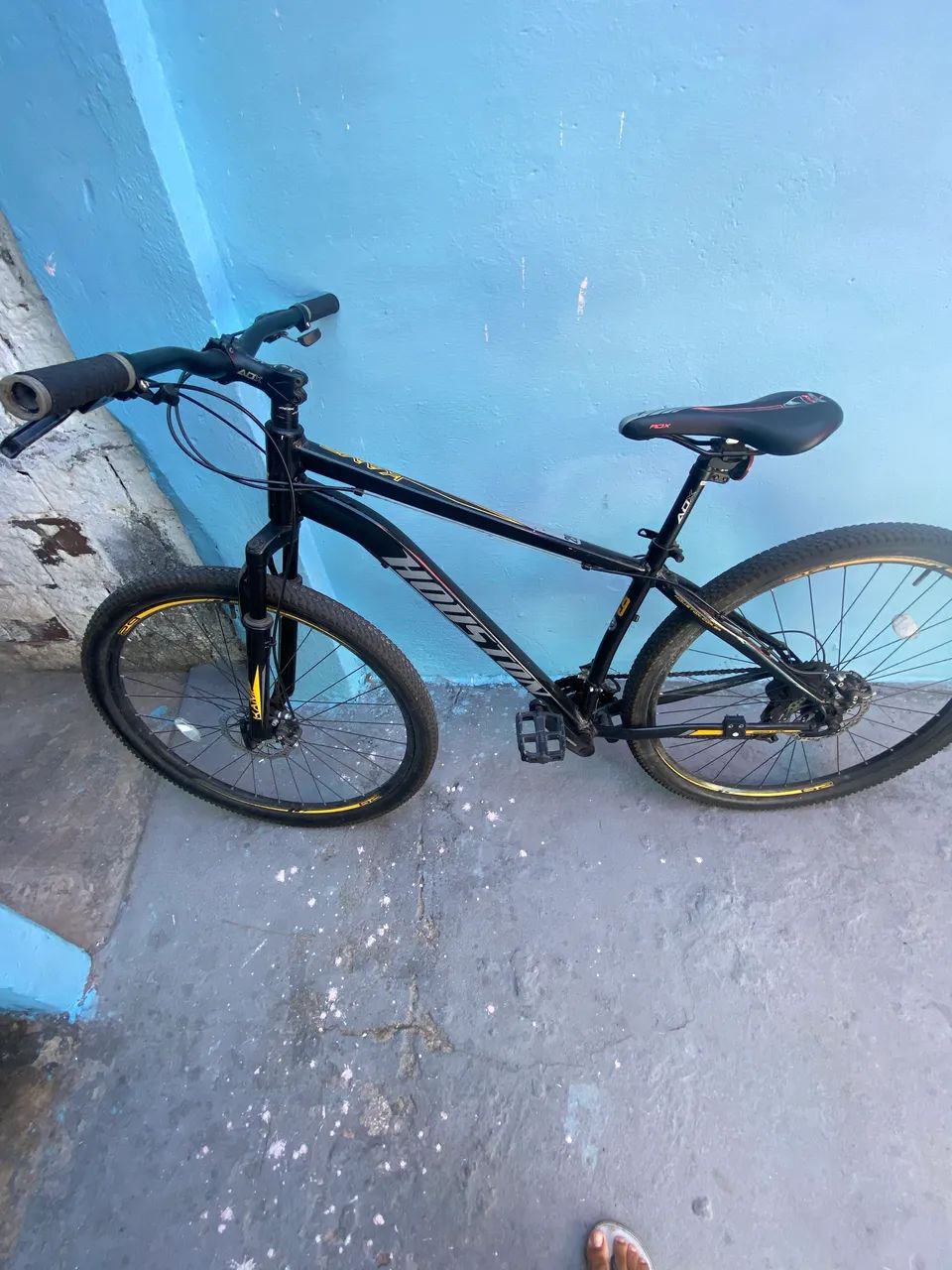Bicicleta 