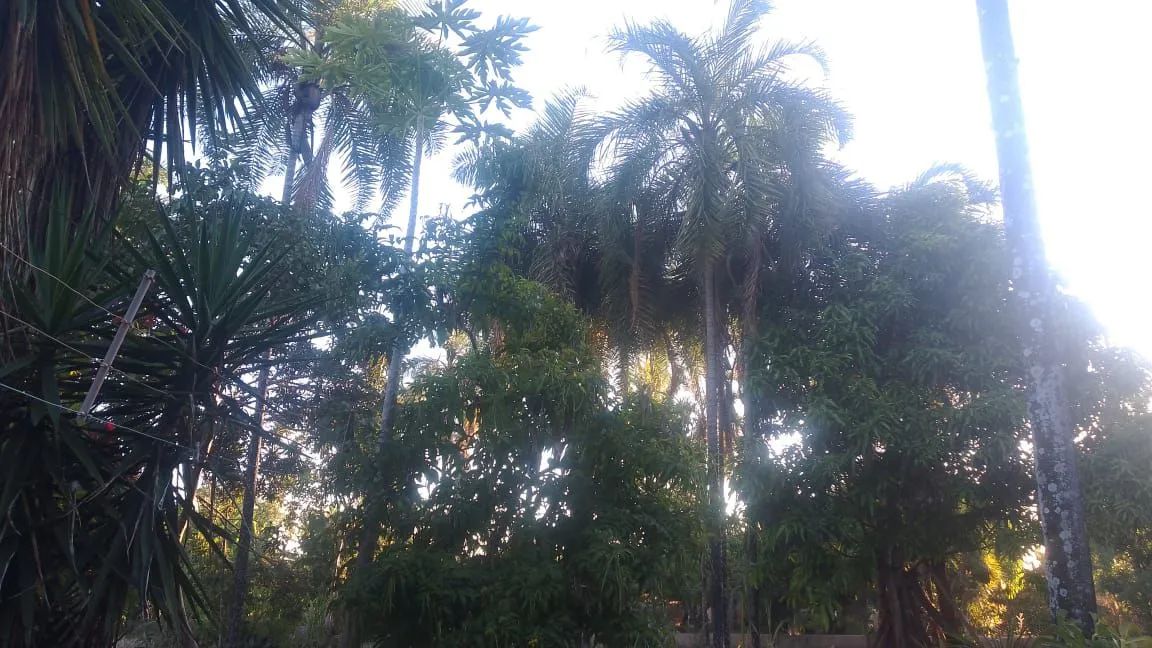 "Espaço, Verde e Simplicidade: Chácara com Casa e 3 Hectares" - Foto 4