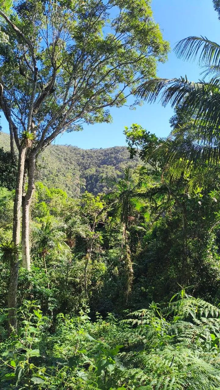 Terreno em Albuquerque! - Foto 2
