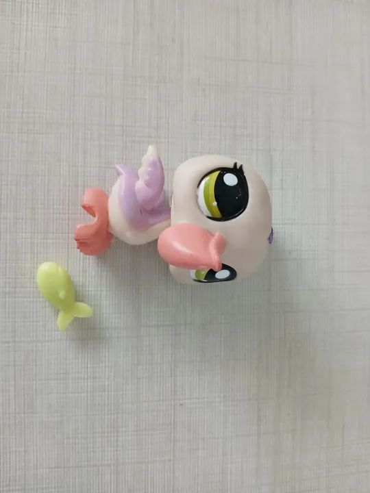 Pelicano LPS - Foto 4