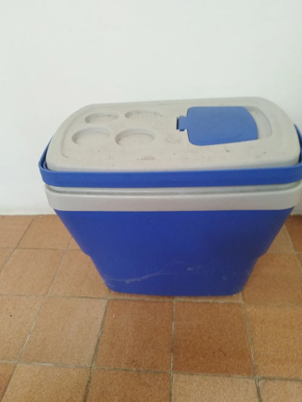 Cooler Térmico Portátil Azul com Tampa