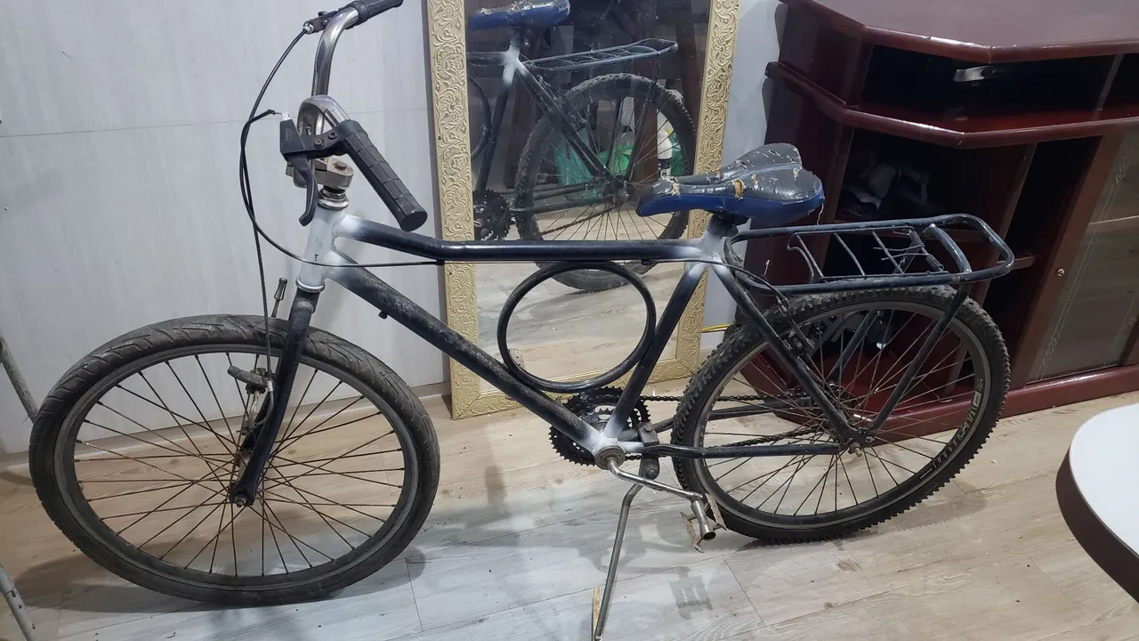 Bicicleta