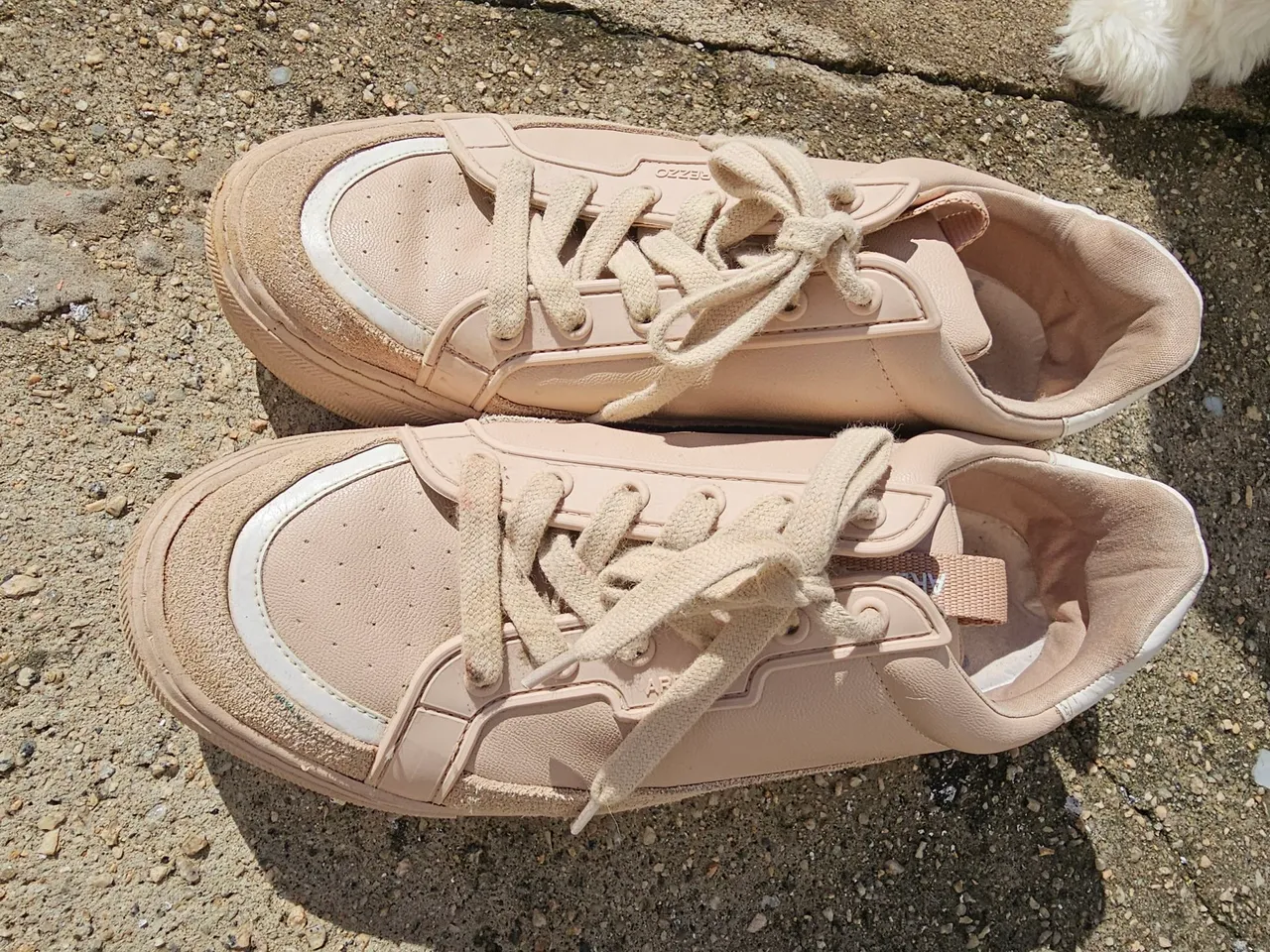 Tênis Feminino Bege - Conforto e Estilo