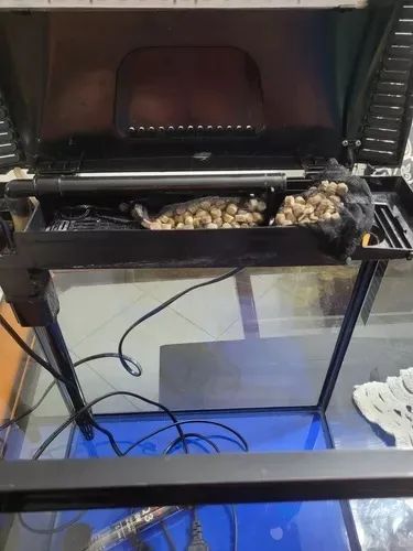 Aquário Boyu Usado, Com Aquecedor, Termómetro, Midia, Pedras (Usado) - Foto 5