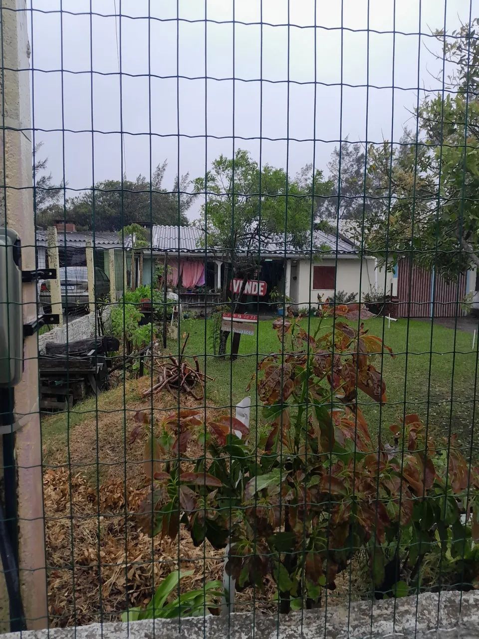 Foto - Palmares do Sul - Quintão