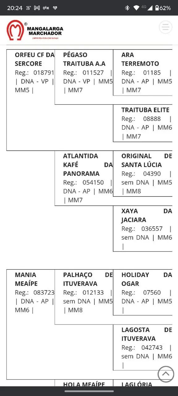 Manga larga marchador registrado definitivo  - Foto 6