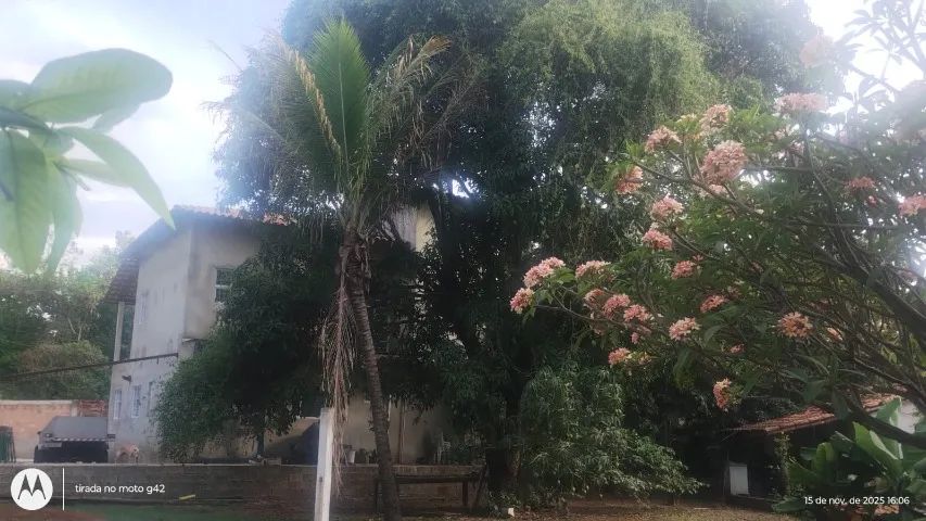 Sítio troca por caminhão e carro - Foto 2