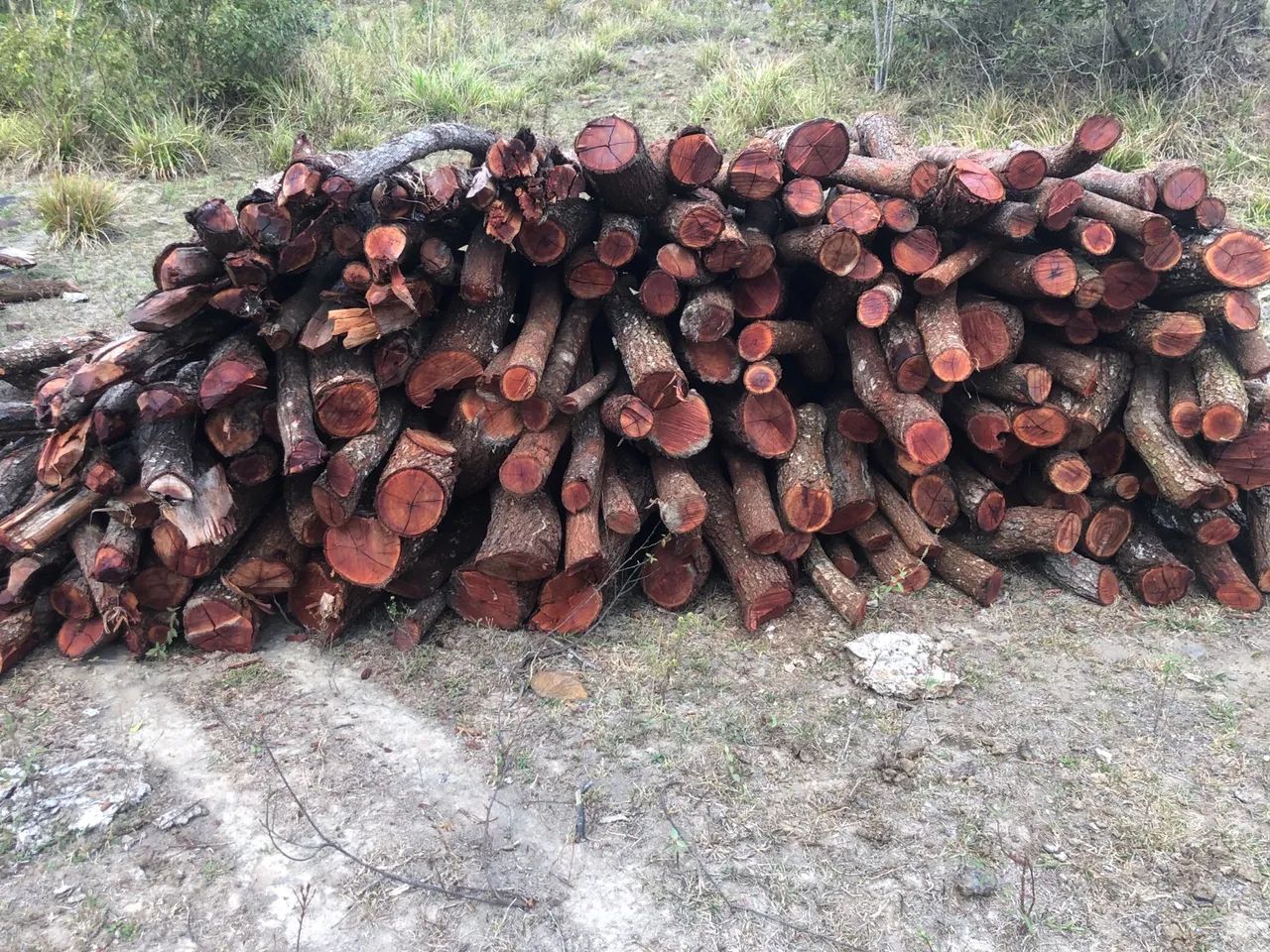 Estacas e mourões - Foto 4