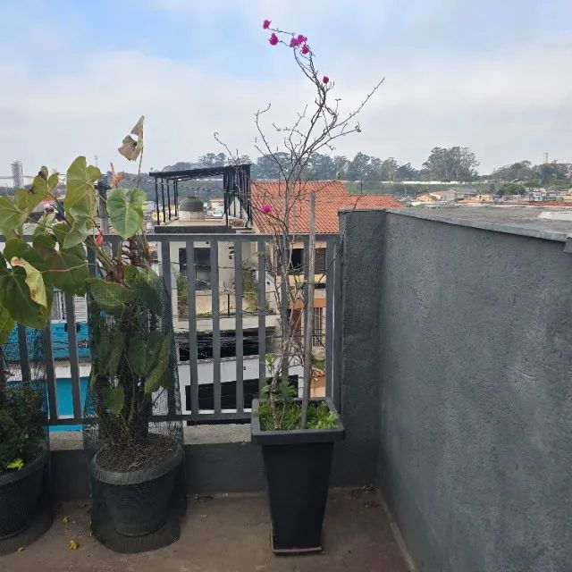 Muda de Primavera - Grande - Foto 4