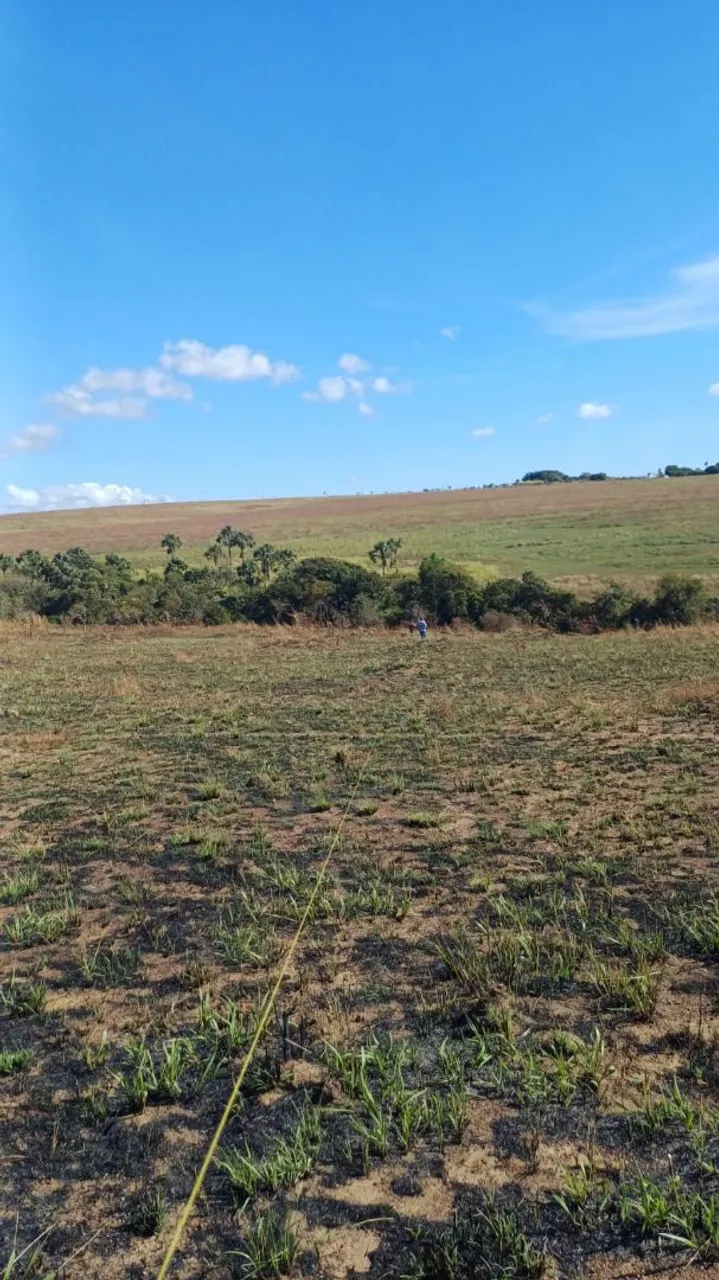 Vendo meio hectare em fazenda
