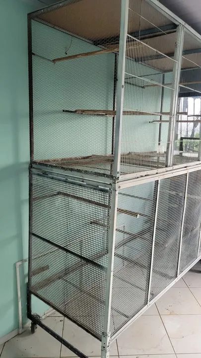 Viveiro grande muito bem feito. - Foto 3